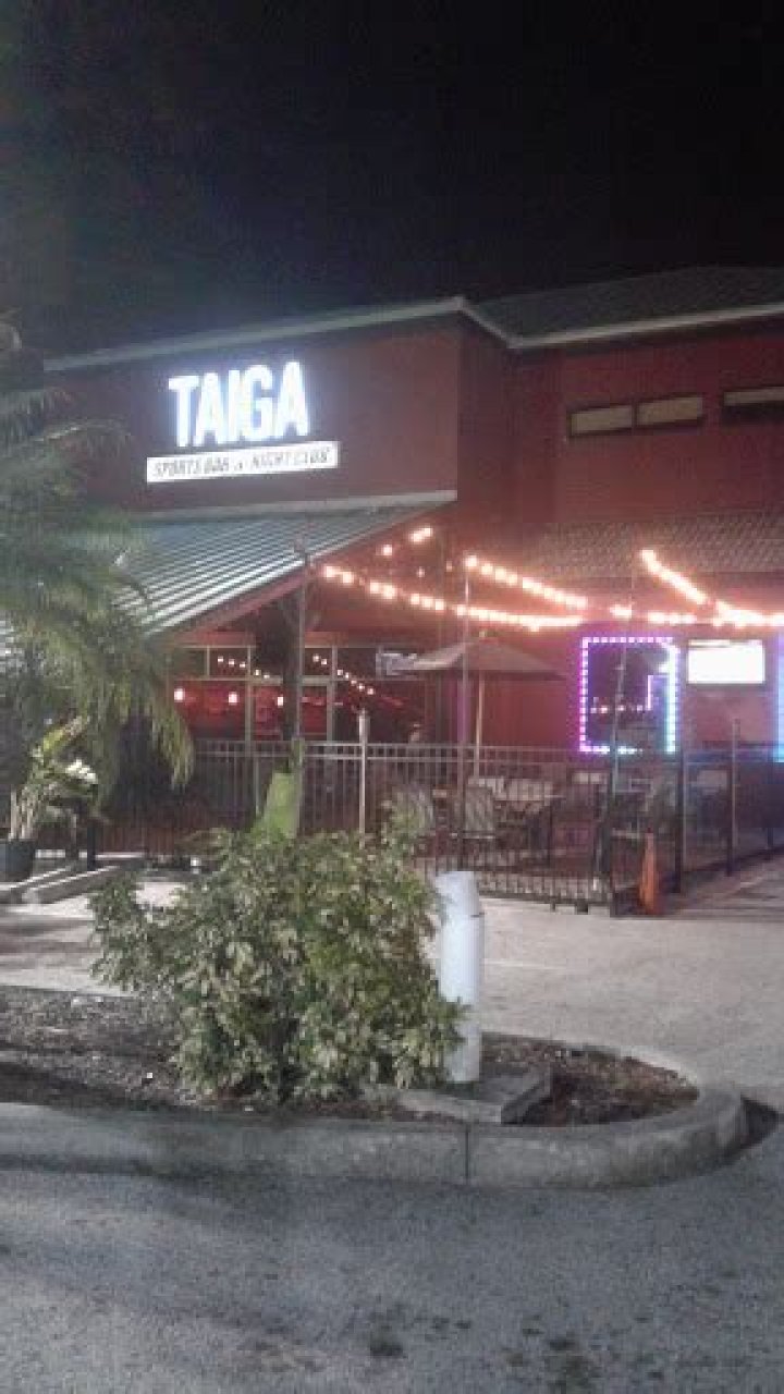 Unveiling The Secrets Of Taiga Tampa: A Journey Into Success