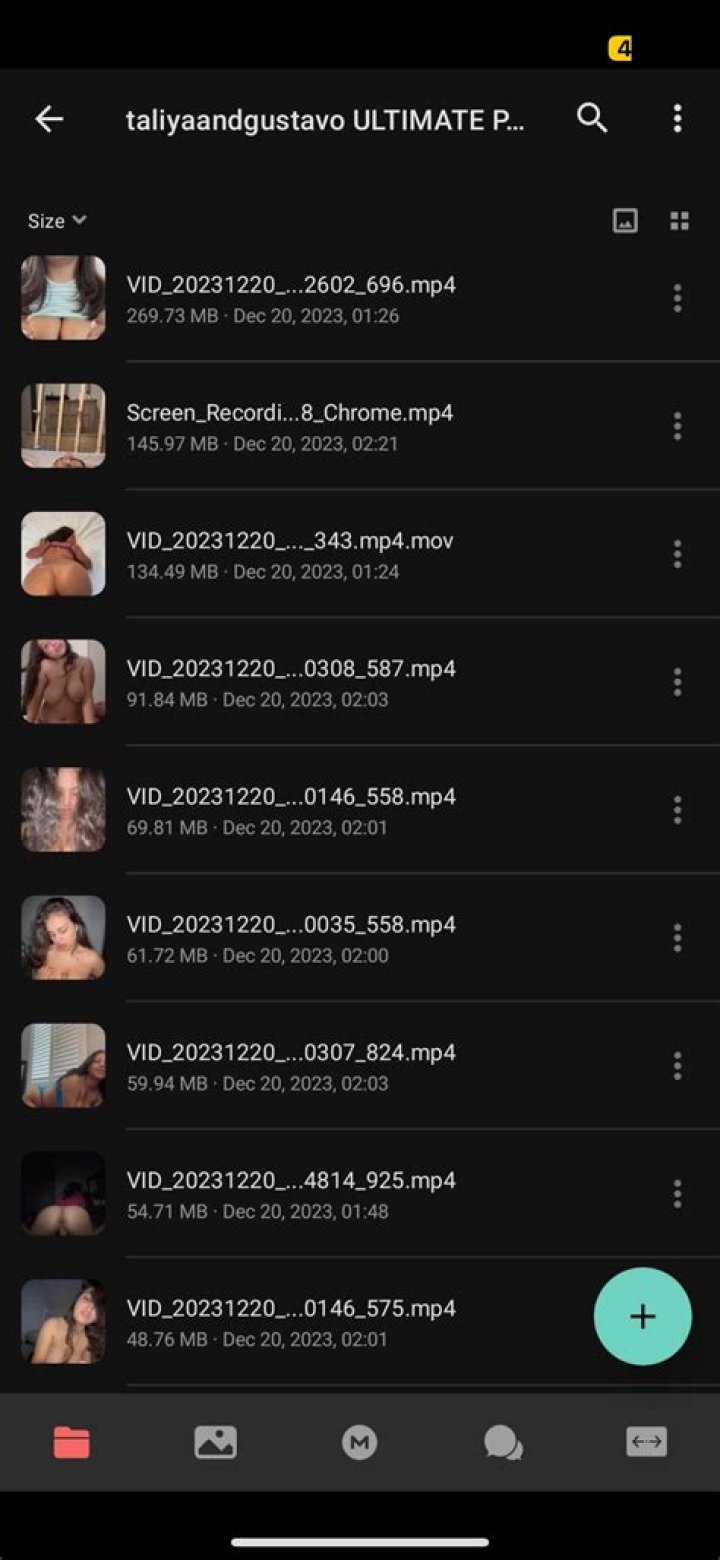 Inside The Taliya And Gustavo Leak