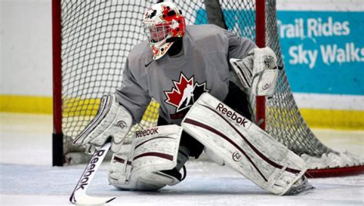 Unlocking The Secrets Of Hockey's Elite