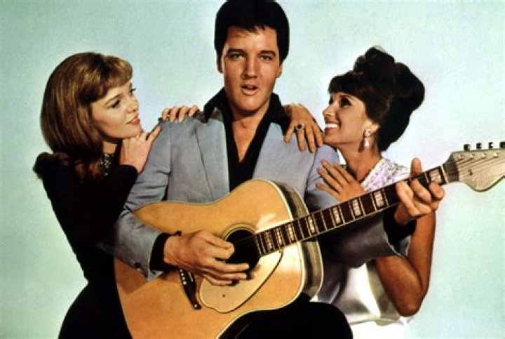 Uncover Cinematic Treasures And Insights With TCM Double Features