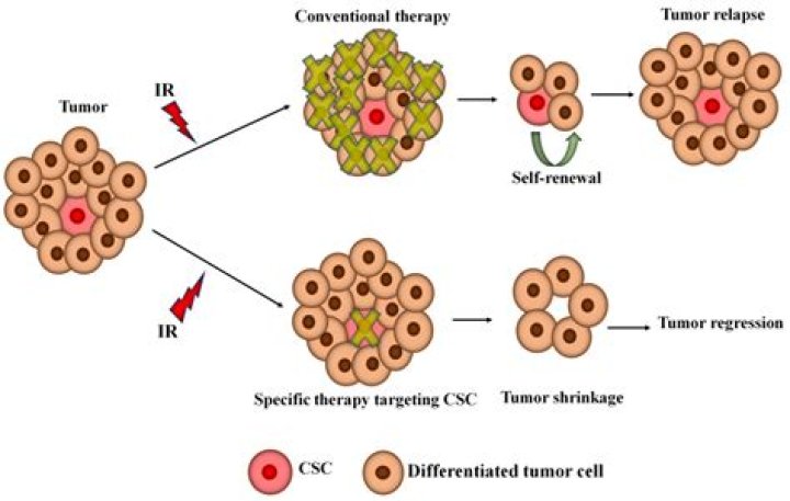 Unveiling Tera Bond Cancer: Promising Discoveries And Insights