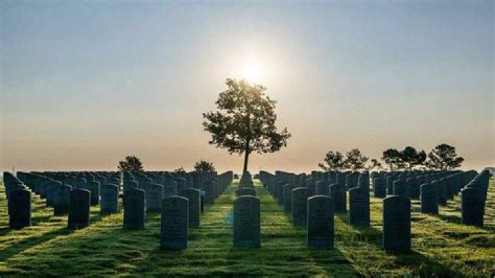 Unveiling The Life And Legacy Of Terri Facci: An Obituary Exploration