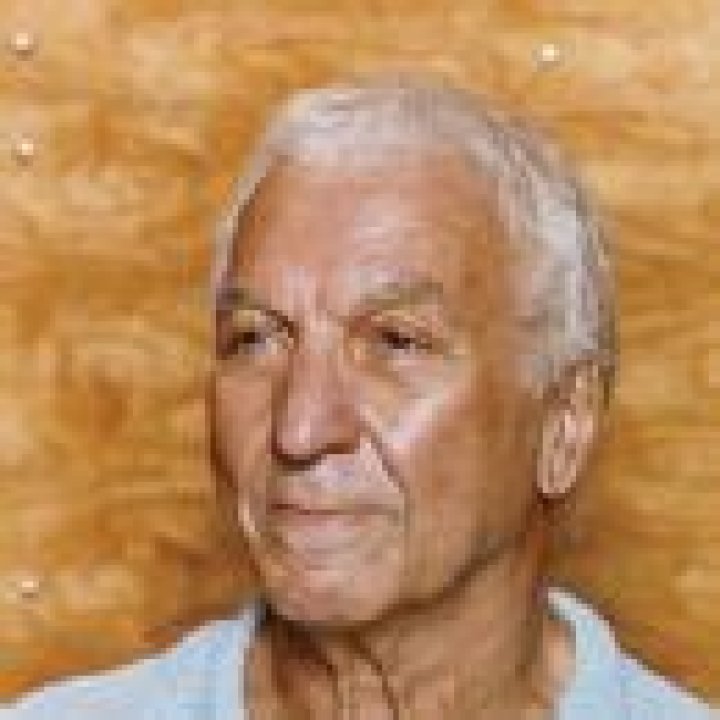 Thea Joyce Nesis And Her Jellyfish Discoveries