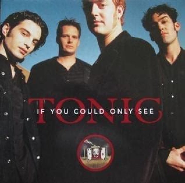Unveiling The Profound Meaning Behind Tonic's "If You Could Only See" Lyrics