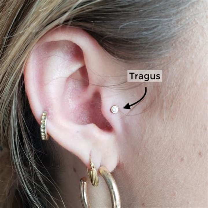 Unveiling The Secrets Of Tragus Tattoos: A Comprehensive Guide