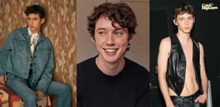 Unlocking Troye Sivan's Physical Attributes: Height And Weight Revealed