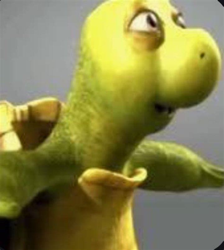 Dive Into The Enigmatic World Of Turtles With No Necks: Unveiling Nature's Unique Creation