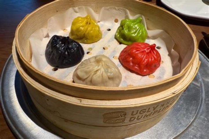 Dive Into The World Of Ugly Dumplings