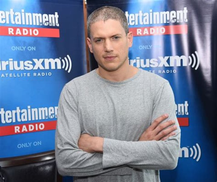 Unveiling The Wealth Of Wentworth Miller: Discoveries And Insights