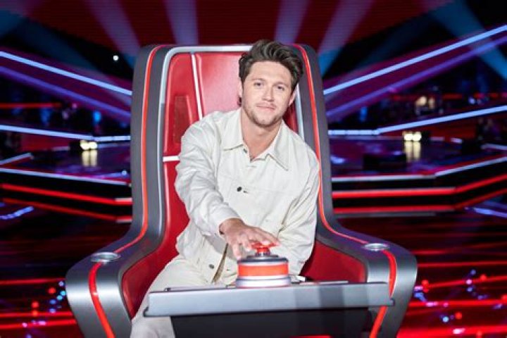 Discover The Competition That Launched Niall Horan's Stardom