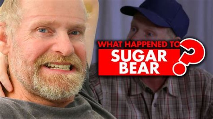 Unveiling The Truth: Sugar Bear's Journey Unveiled