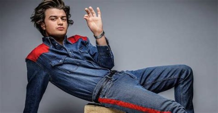 Unveiling Joe Keery's Net Worth: Secrets And Surprises Revealed