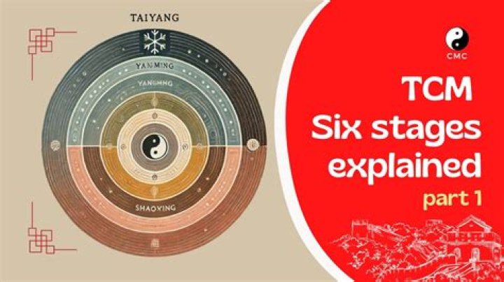 Unveiling The Ancient Origins And Enduring Legacy Of TCM