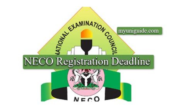 When And How To Conquer NECO Registration