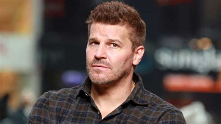 Unveiling The Enigmatic Ingrid Quinn: David Boreanaz's Ex-Wife