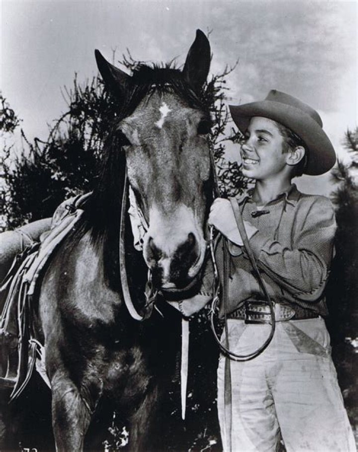 Unraveling The Enigma Of "Who Played Mark In The Rifleman": Discoveries And Insights