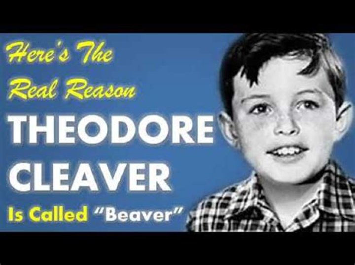 Unveiling The Origins And Significance Of "Theodore Cleaver Beaver"